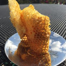 img_0006