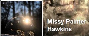 Missy Palmer Hawkins - wildlife photographer